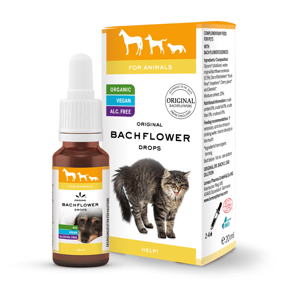 Bachflower drops for animals Help! Original Bachflower