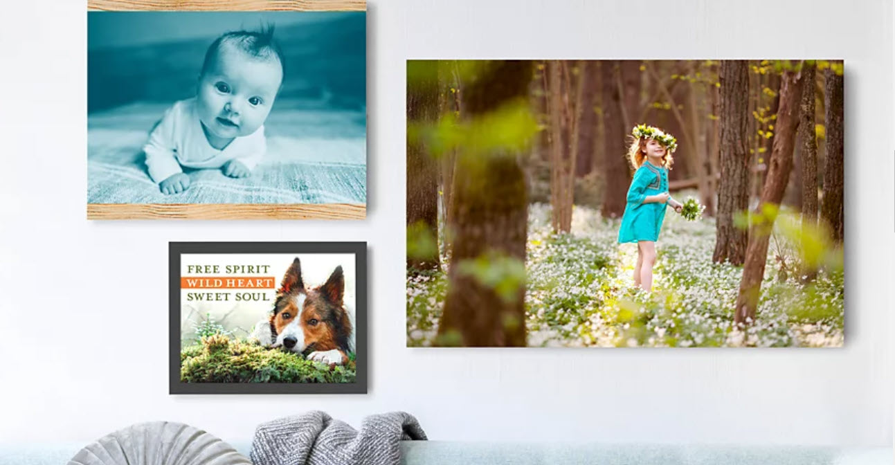 Buy Adobe Photoshop + Premiere Elements 2021 Windows 2GO.