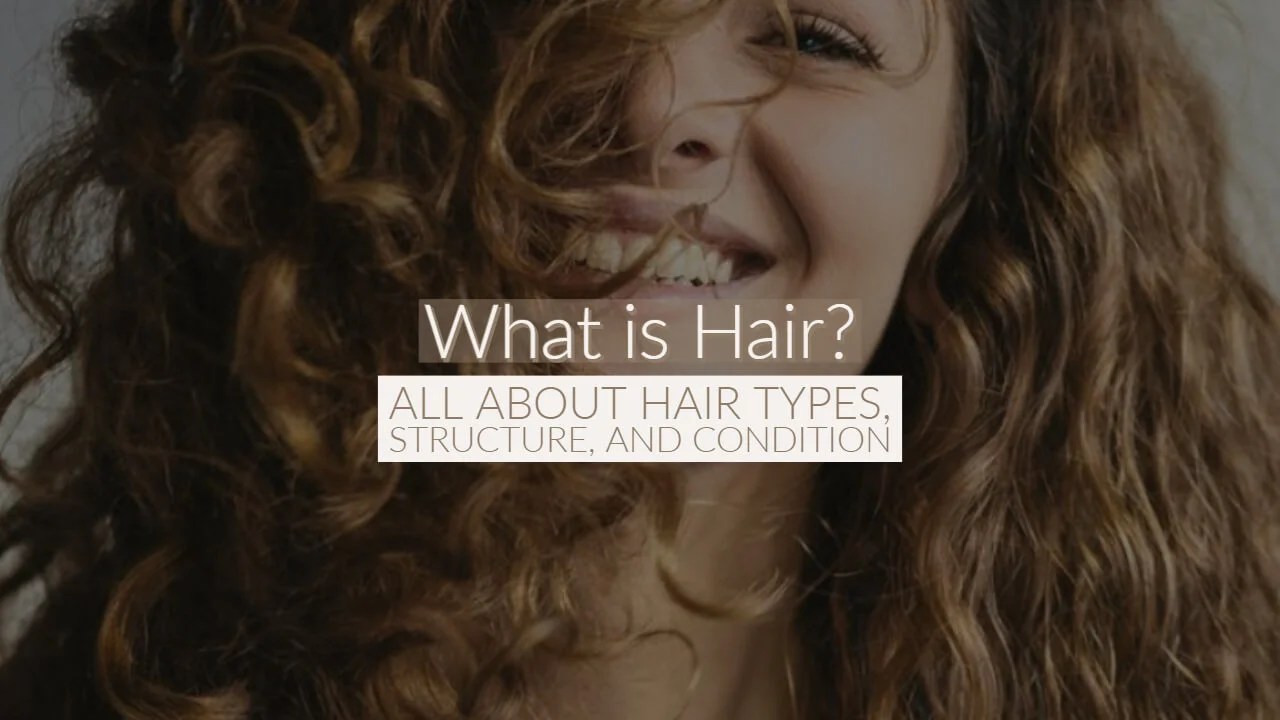 What is Hair? All About Hair Types, Structure, and Condition Origin