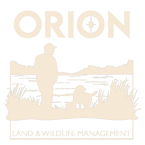 Orion Wildlife Land & Wildlife Management