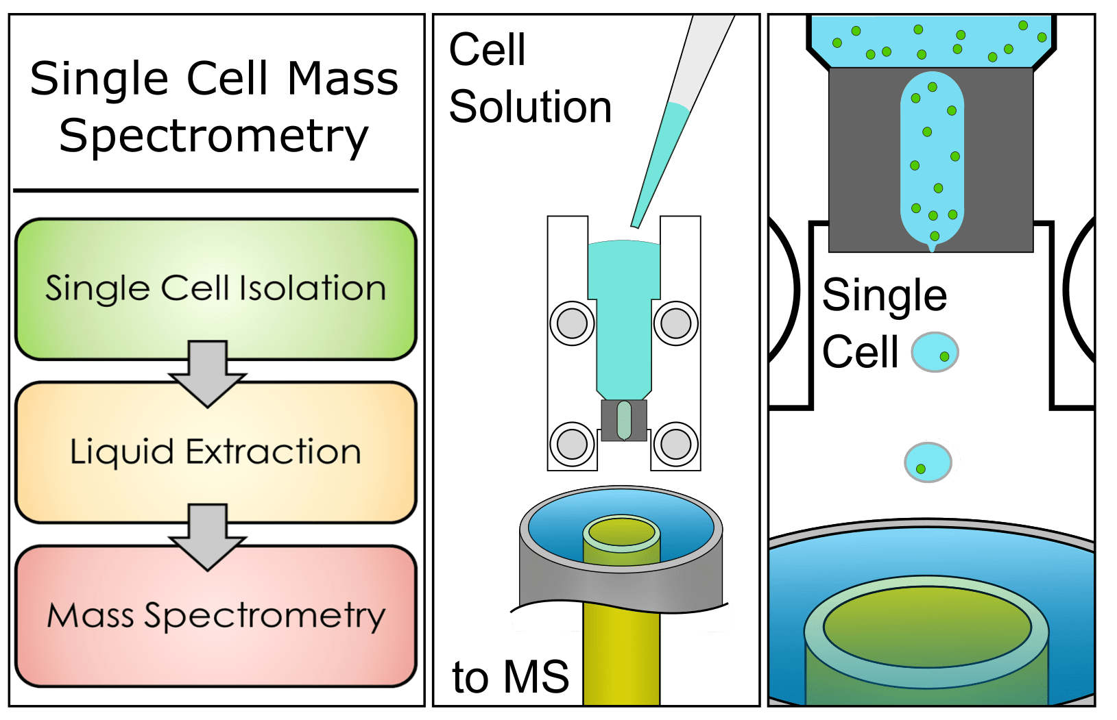 Mass Spectrometry and Laser Spectroscopy ORNL