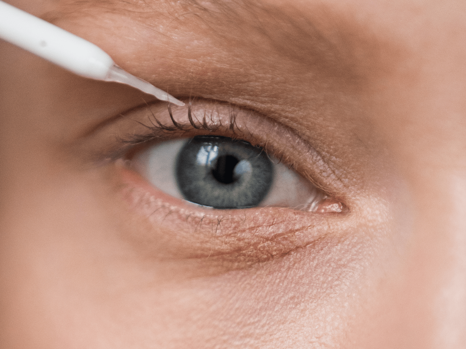 Brow brow conditioner natural cosmetics Orphica