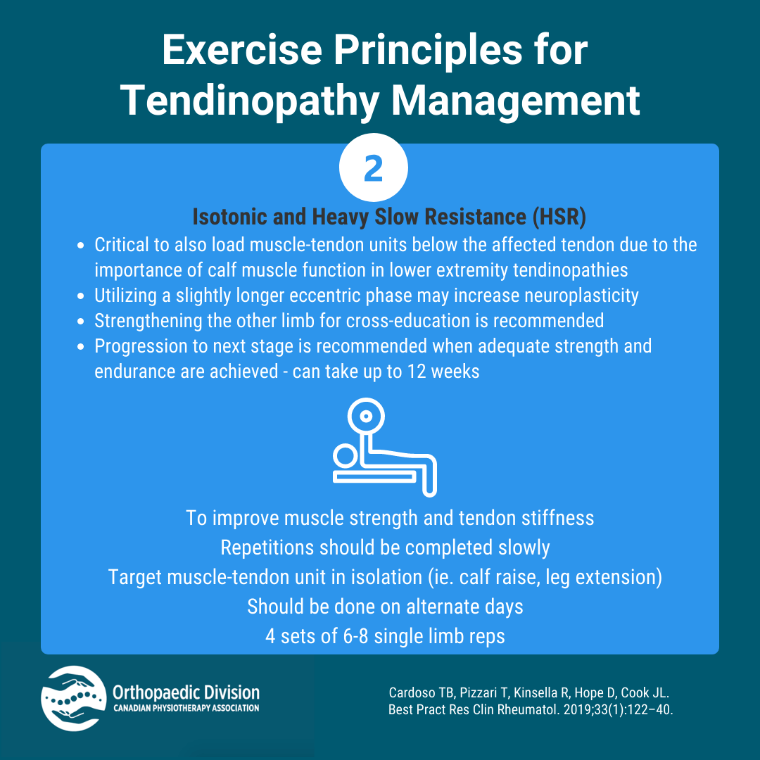 Exercise Principles for Tendinopathy Management National Orthopaedic Division of the Canadian