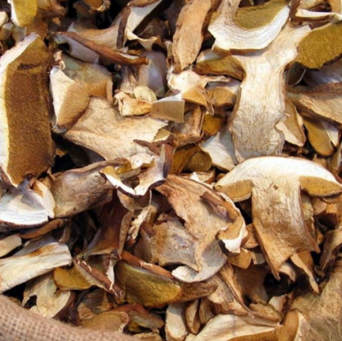 Funghi porcini essiccati 70gr Ortitaly