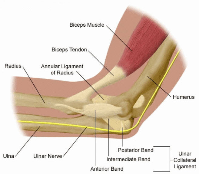 Artroscopia de cot descrisă de Dr. Gavrilă medic ortoped