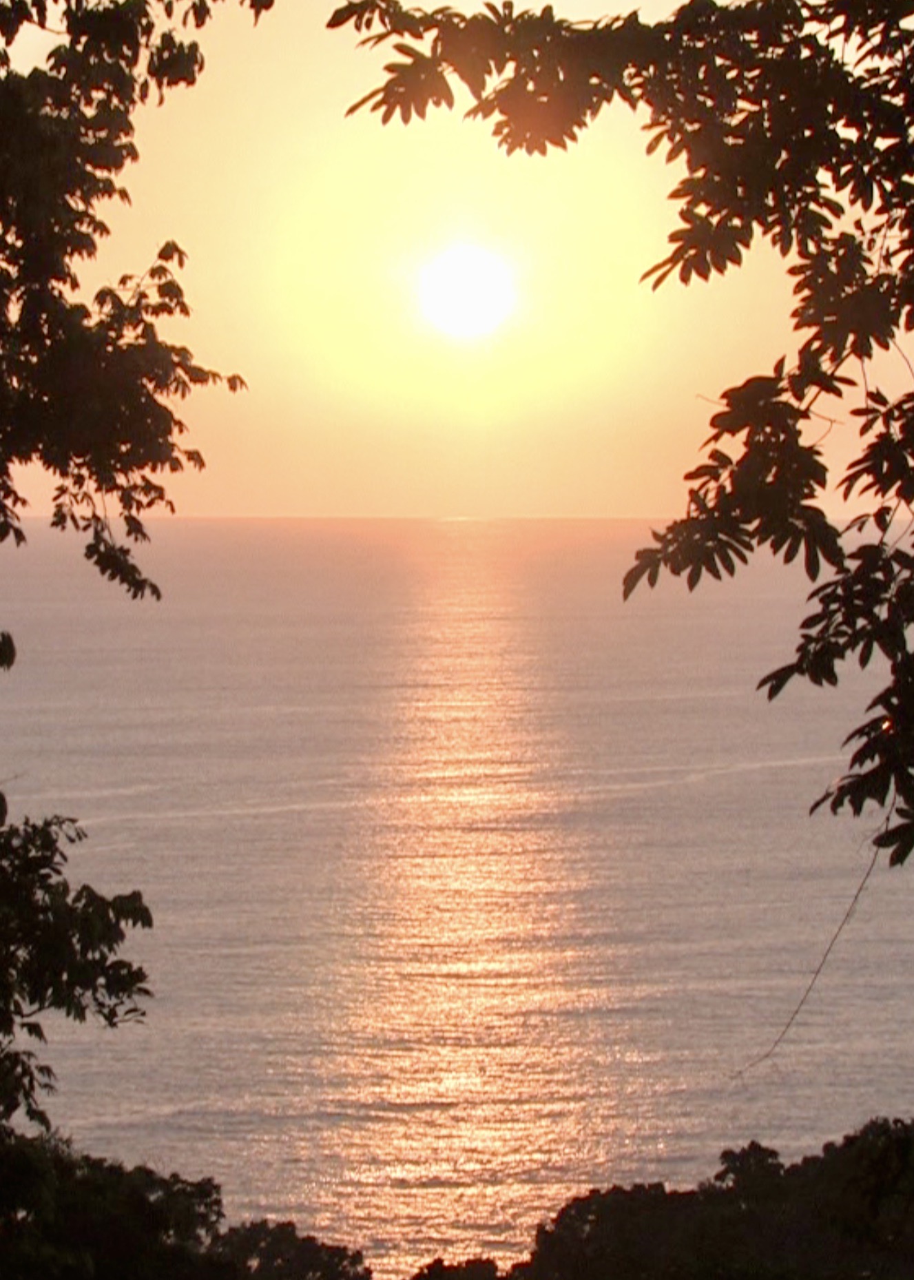 Osa Peninsula Weather TOURISM INFORMATION CENTER