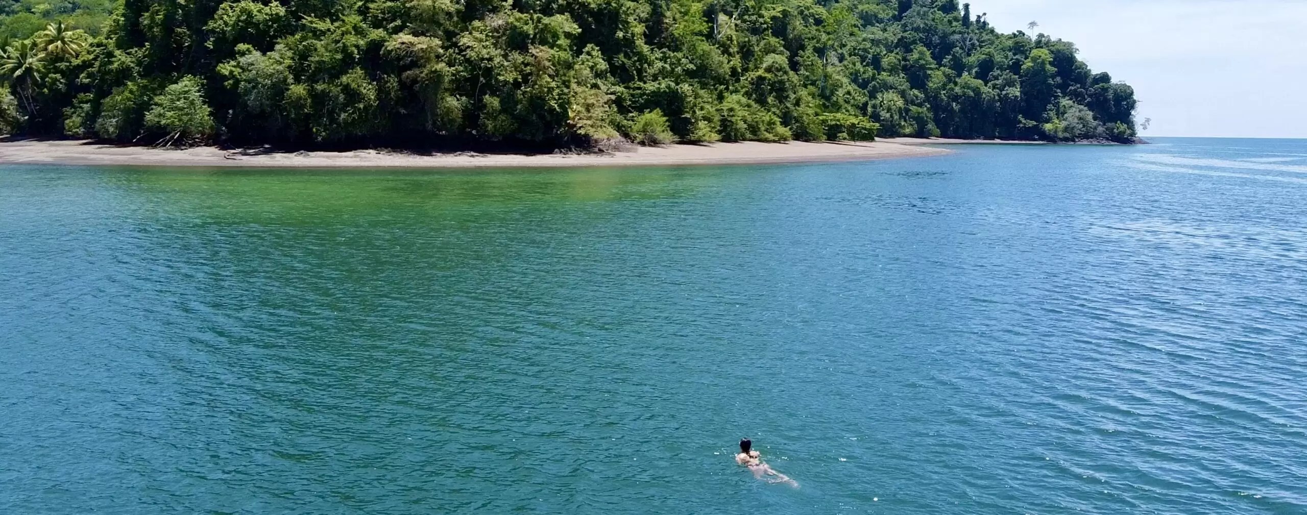 Best Things to Do Osa Peninsula TOURISM INFO CENTER