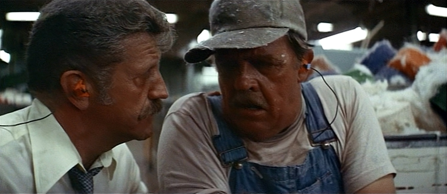 1979 Norma Rae Academy Award Best Picture Winners