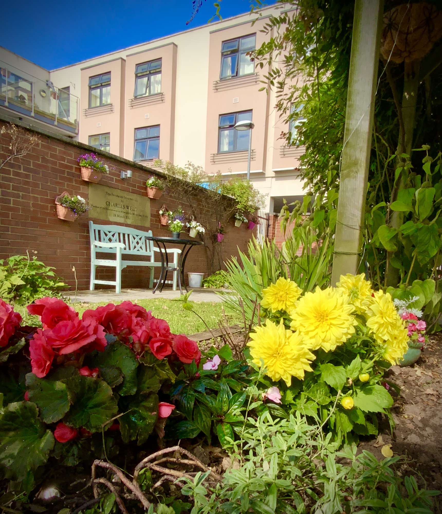 Windsor Street Care Centre wins Trust in Bloom 2023 Best Overall Garden