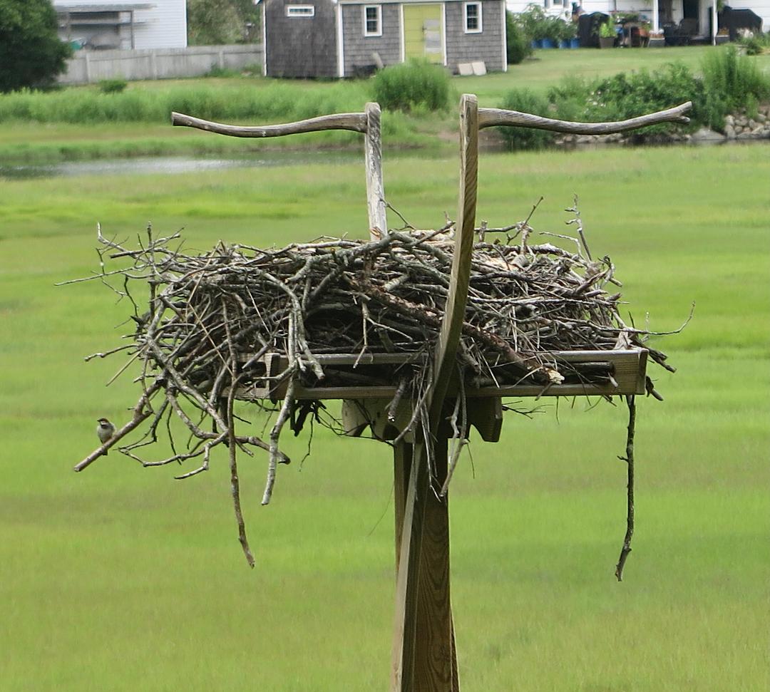 Gallery Old Saybrook Land Trust