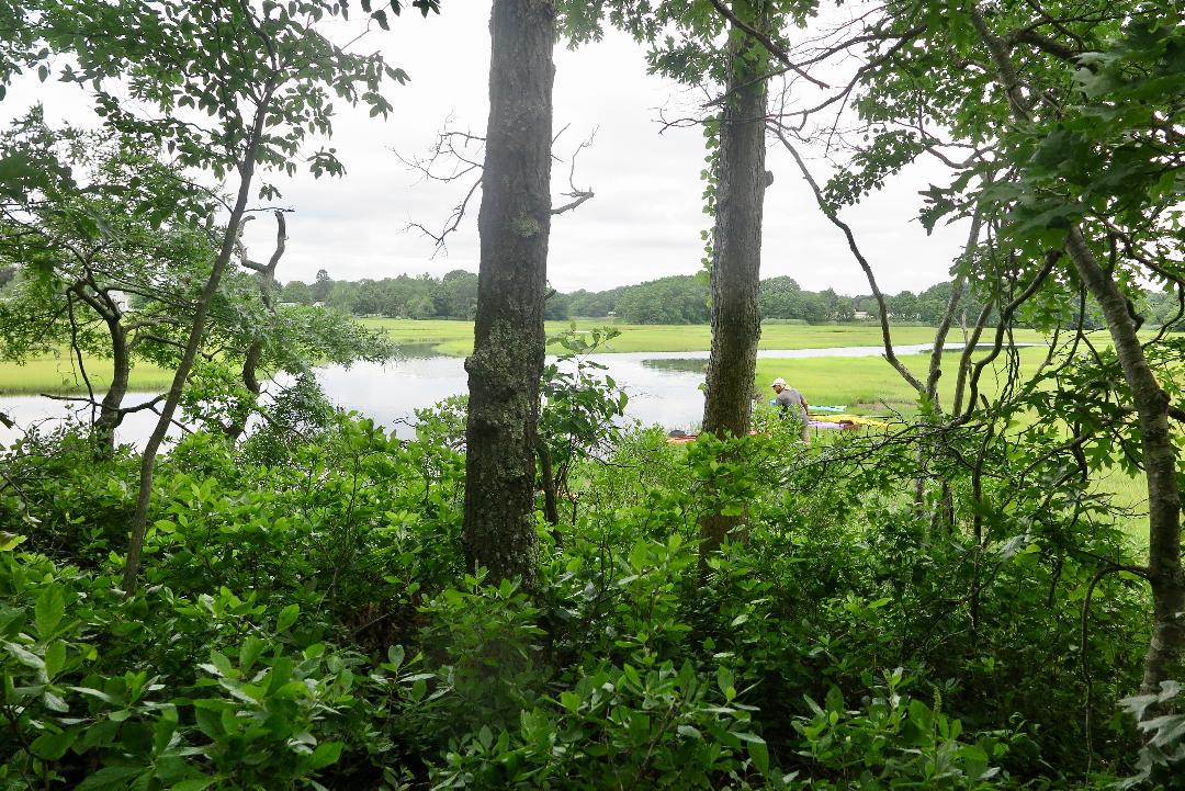 Gallery Old Saybrook Land Trust