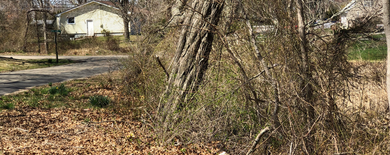Saturday Stewardship Old Saybrook Land Trust