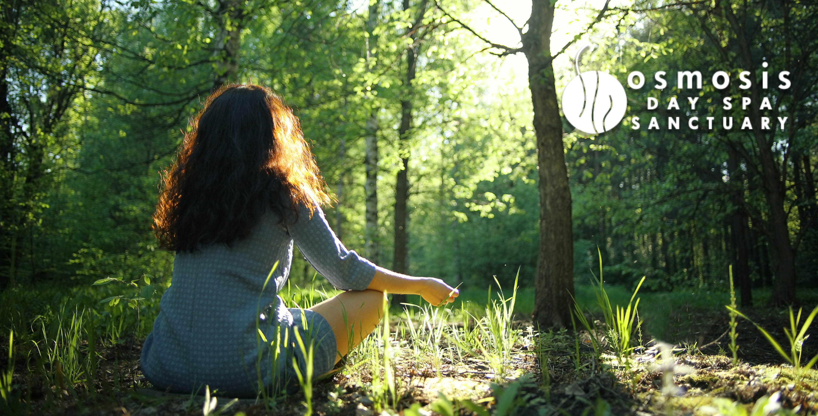 Forest Bathing Spa Meditation Retreat Osmosis Day Spa Sanctuary