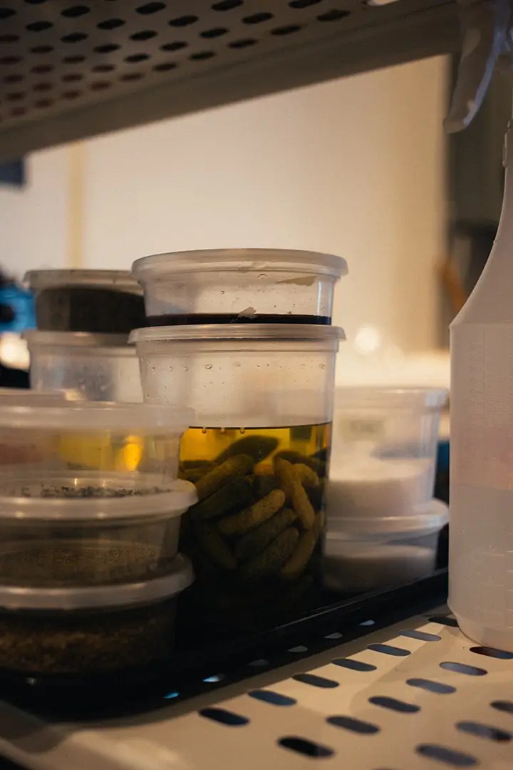 The Benefits of Cleaning Your Water Cooler A Guide OSO Appliance