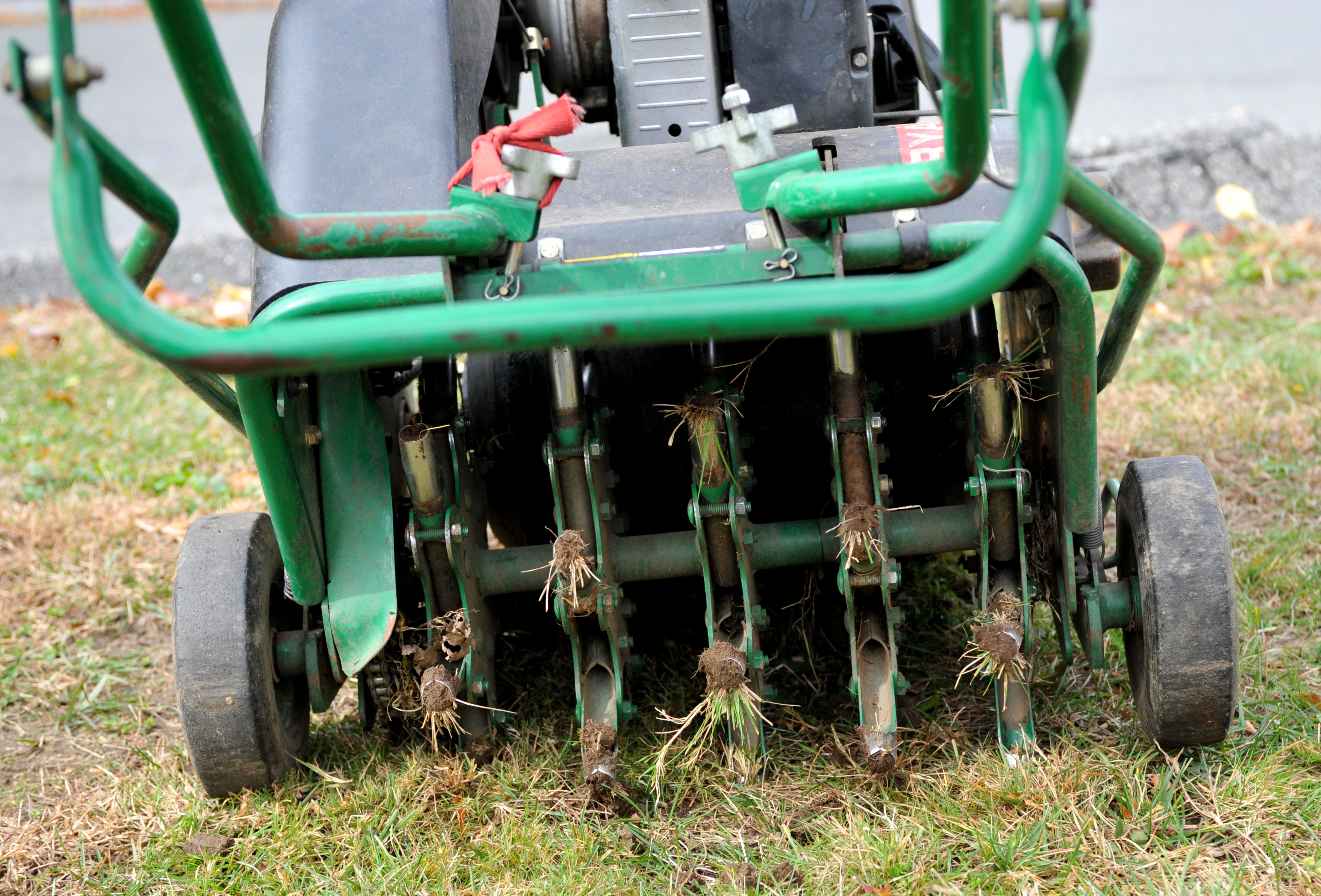 Organic Soil Solutions Core Aeration and Compost Top Dressing