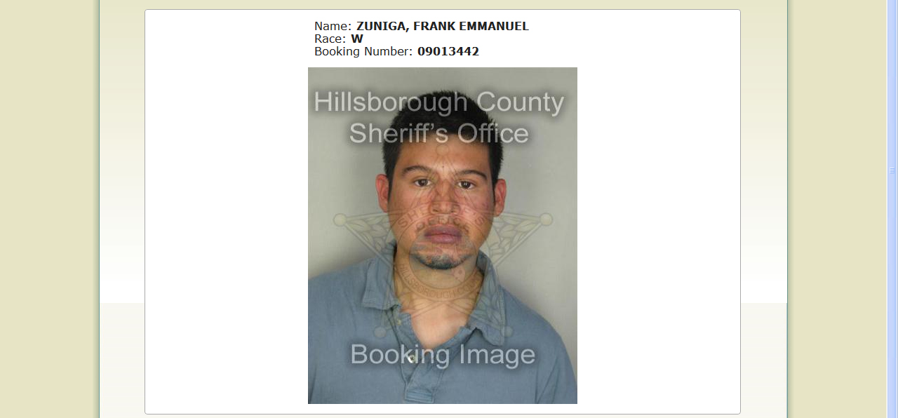 Breaking News, Arrest Made In Bloomingdale Jogger Attack Osprey Observer