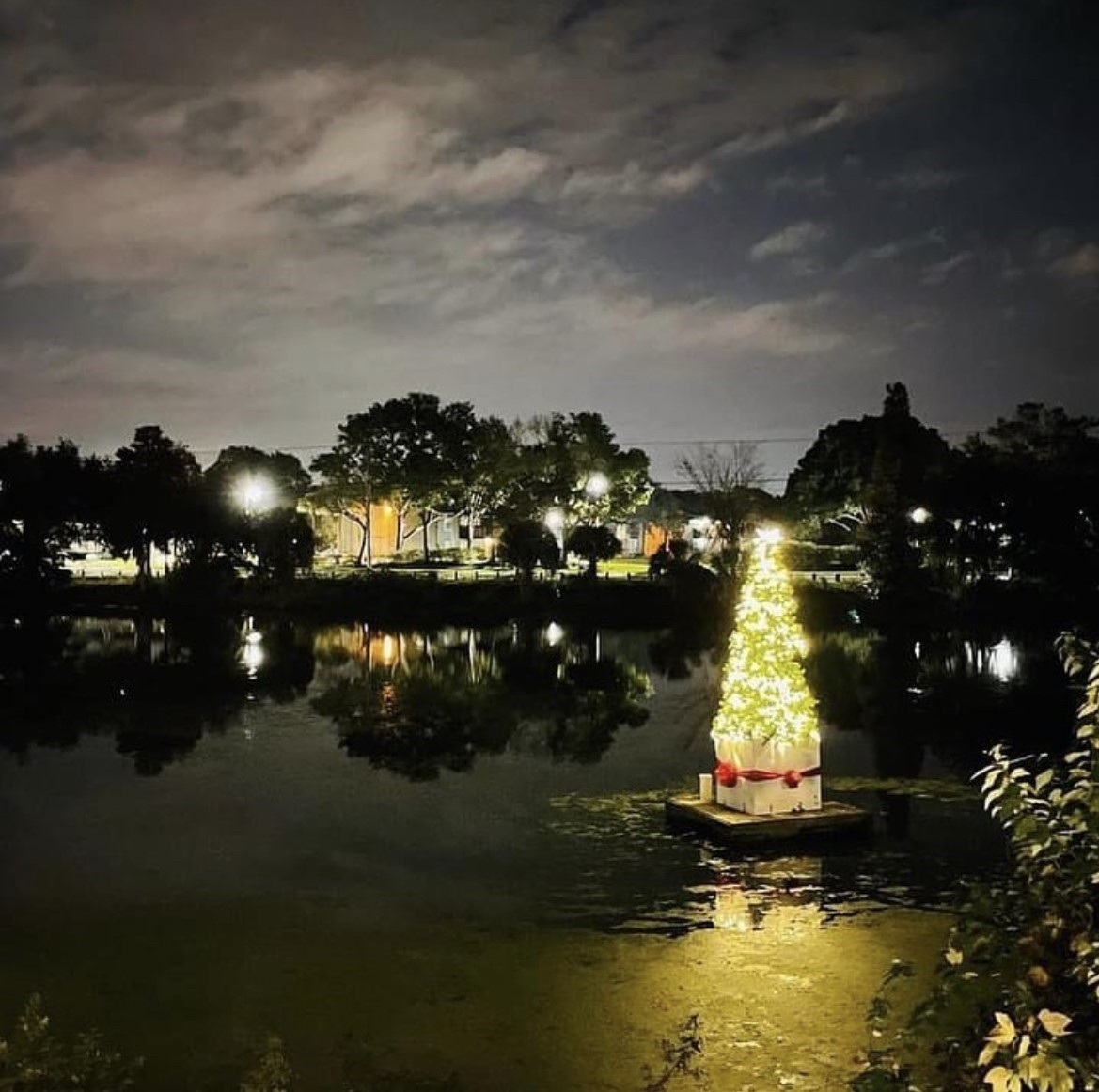 Center Place Fine Arts & Civic Association Looks For A Christmas Tree