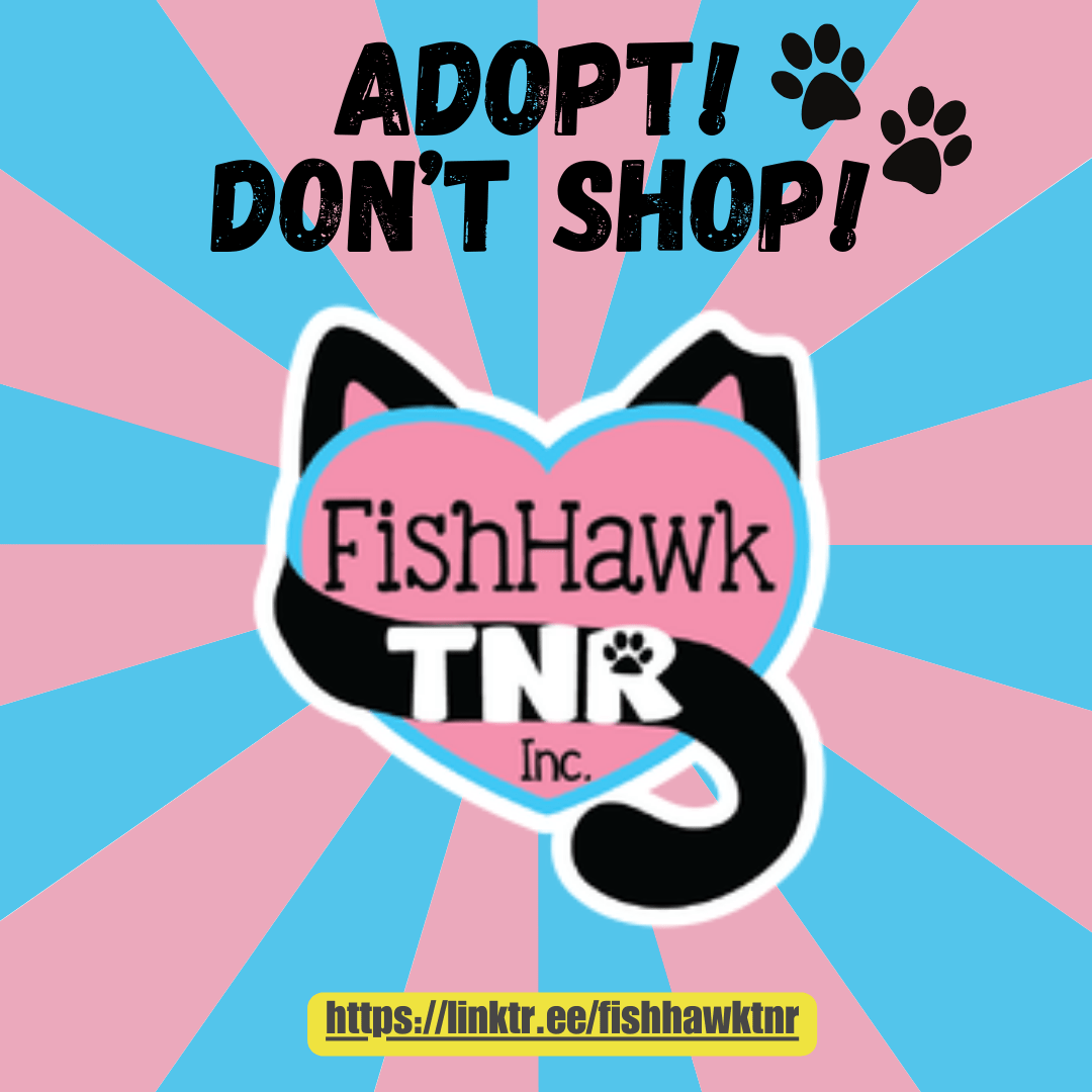 Florida Wildlife With Ali Domestic Pet Crisis Osprey Observer