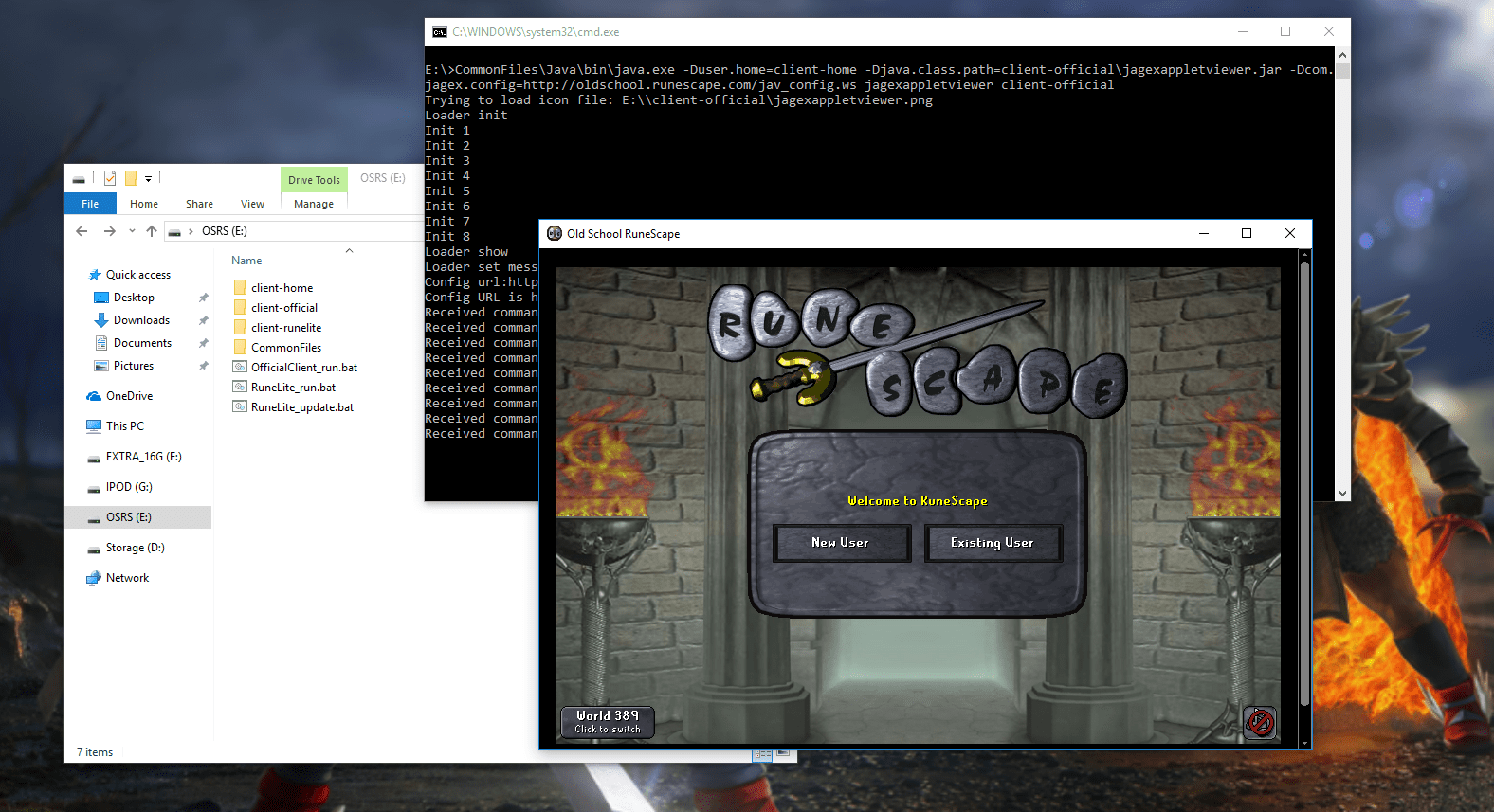 OSRSBox Blog Portable OSRS Running RuneLite or the Official Client