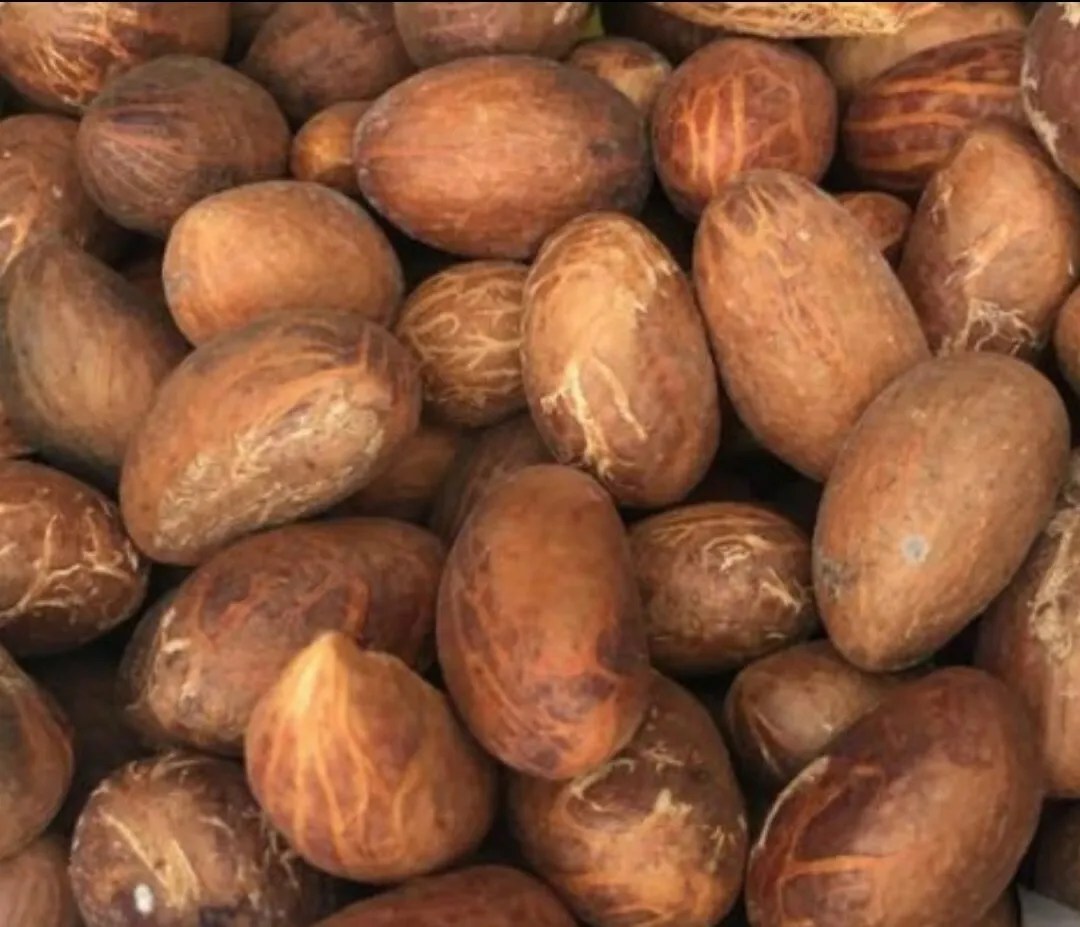 10 Common Diseases You Can Treat By Chewing Bitter Kola Regularly