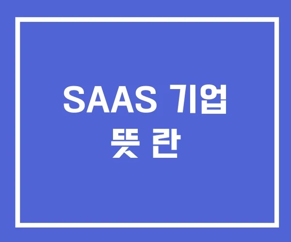 SAAS 기업 뜻 란