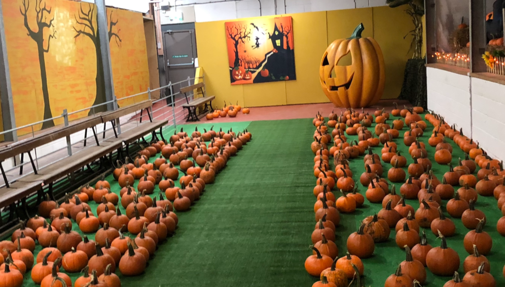 3000 Pumpkins Head to Park Hall Countryside Experience Oswestry Life