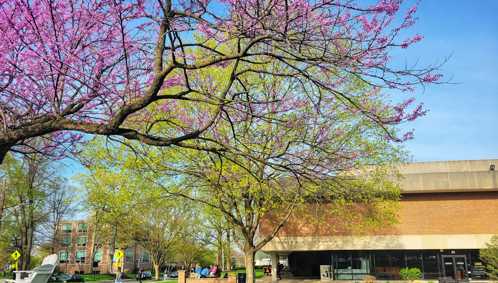 Courtright Memorial Library Courtright Memorial Library