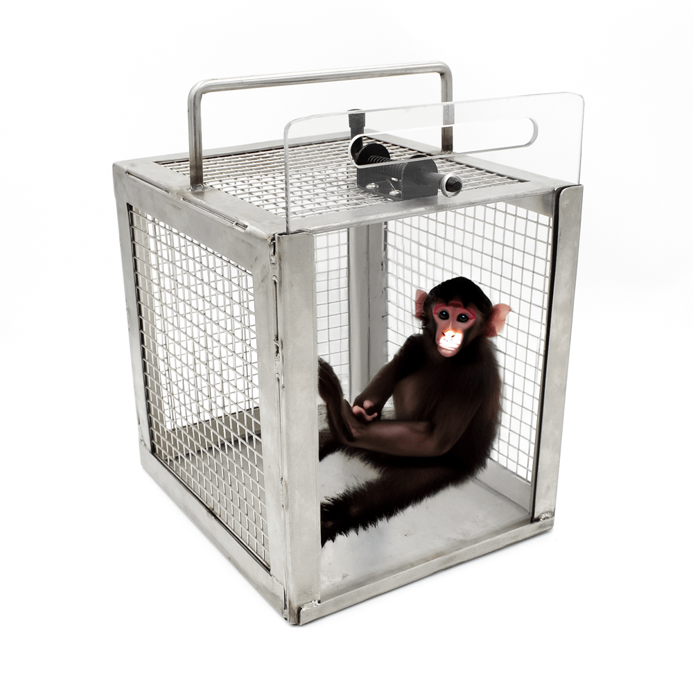 Transfer Cage for Marmoset & Small Animals Otto Environmental