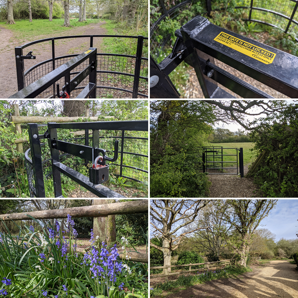 New forest Wheelchair walks, accessible wheelchair walks