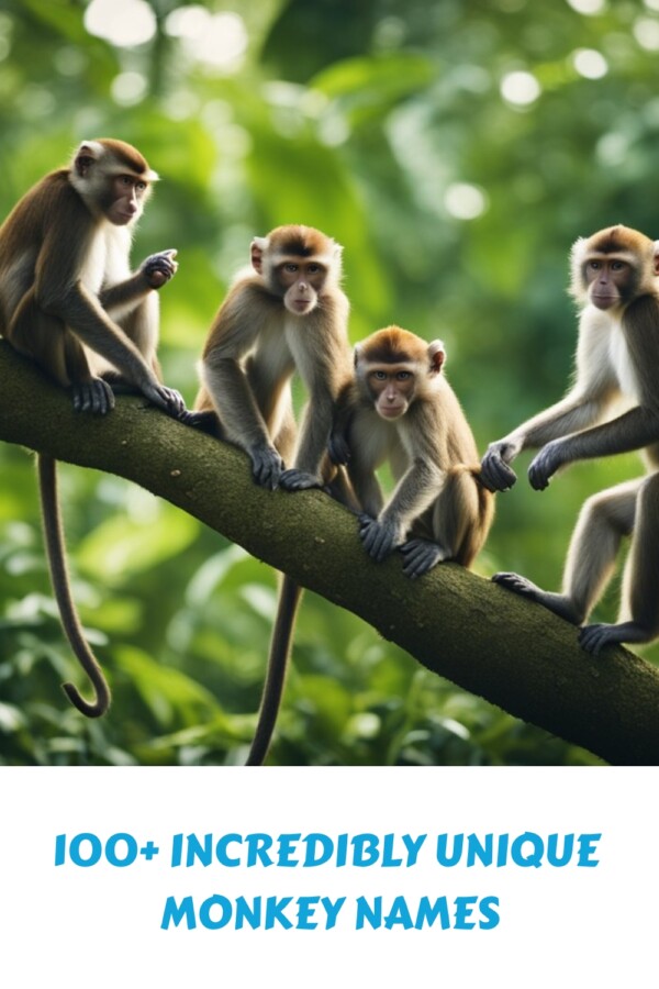 100+ Incredibly Unique Monkey Names