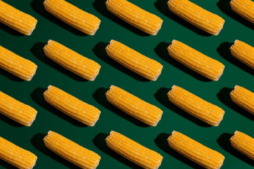 Is Corn Bad for the Environment?