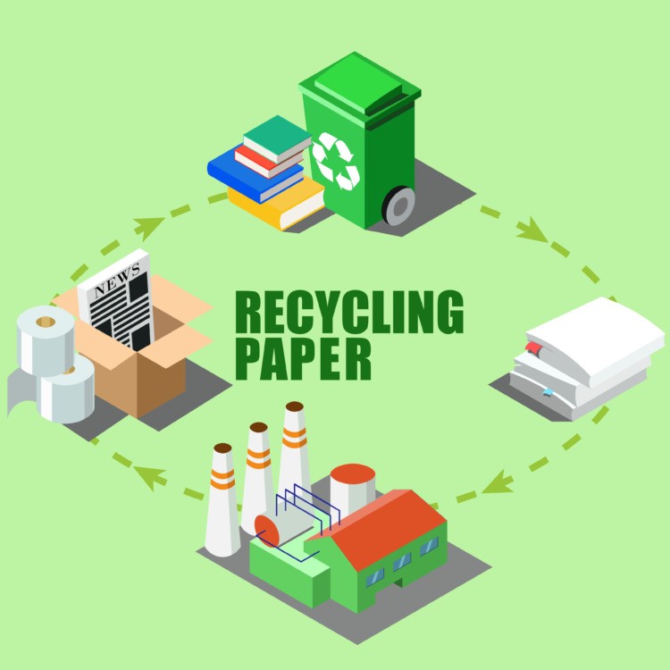 10 Best EcoFriendly & PlasticFree Toilet Paper