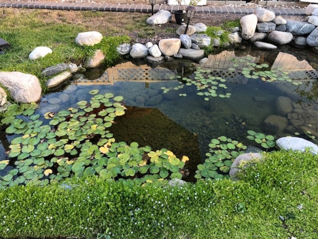 New Orleans Vacation Rental by Owner, Vacation Houses for Rent