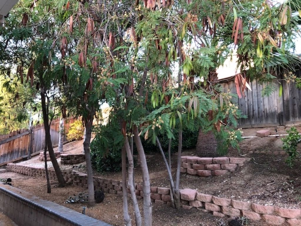 New Orleans Vacation Rental by Owner, Vacation Houses for Rent