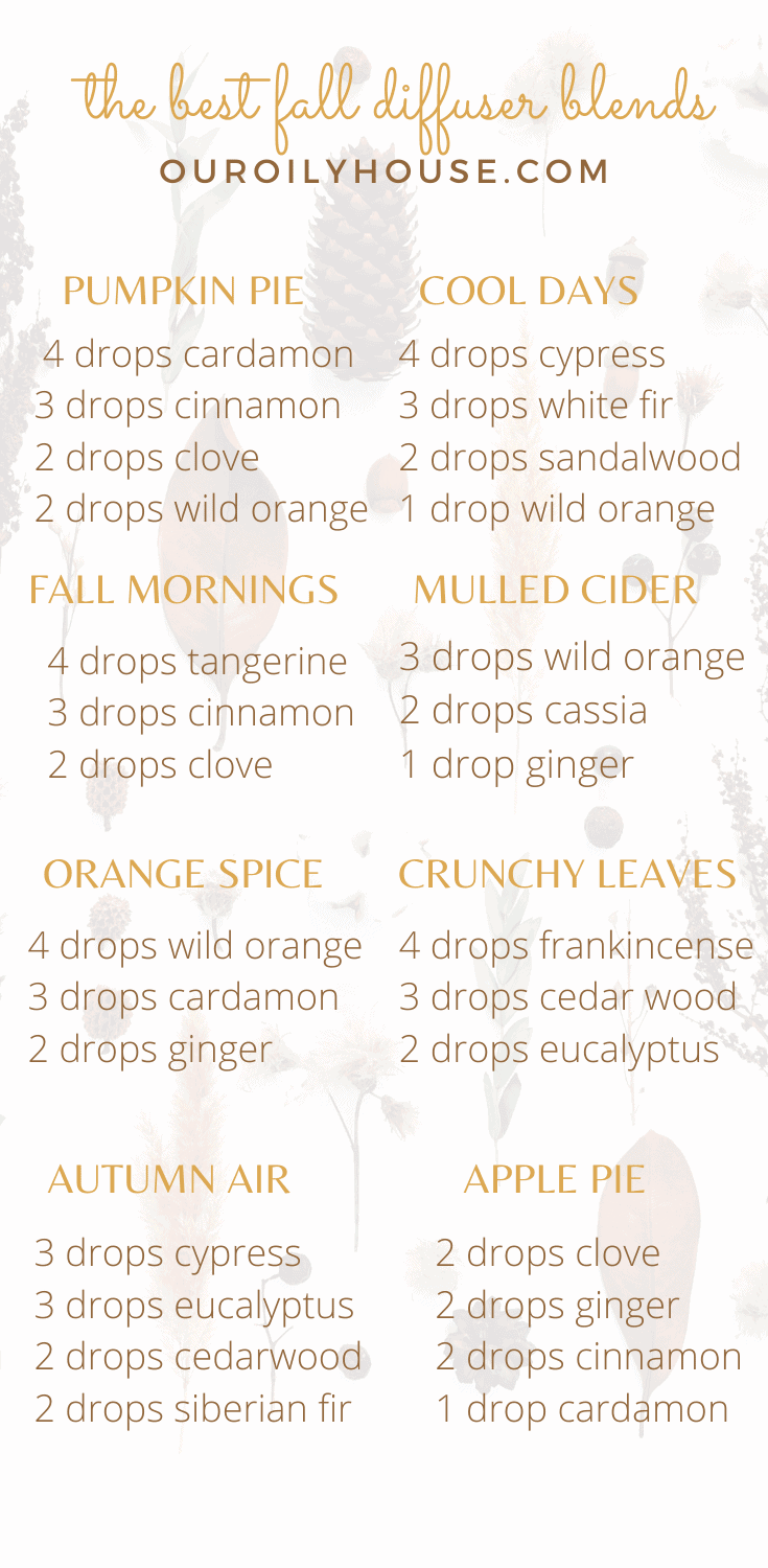 Fall Diffuser Blends Our Oily House