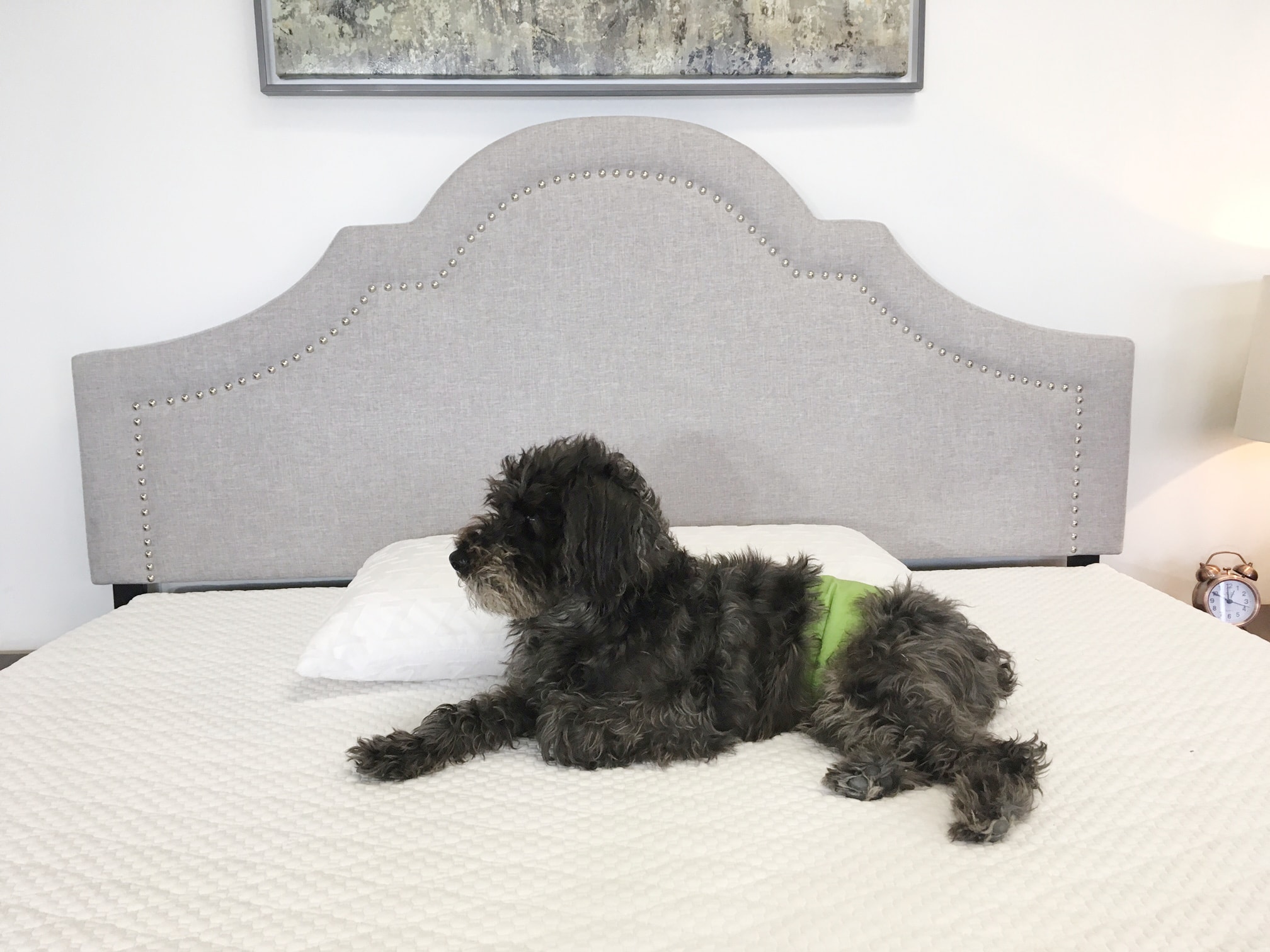 Affluent Rest by Sweet Zzz In Depth Mattress Reviews & Coupons