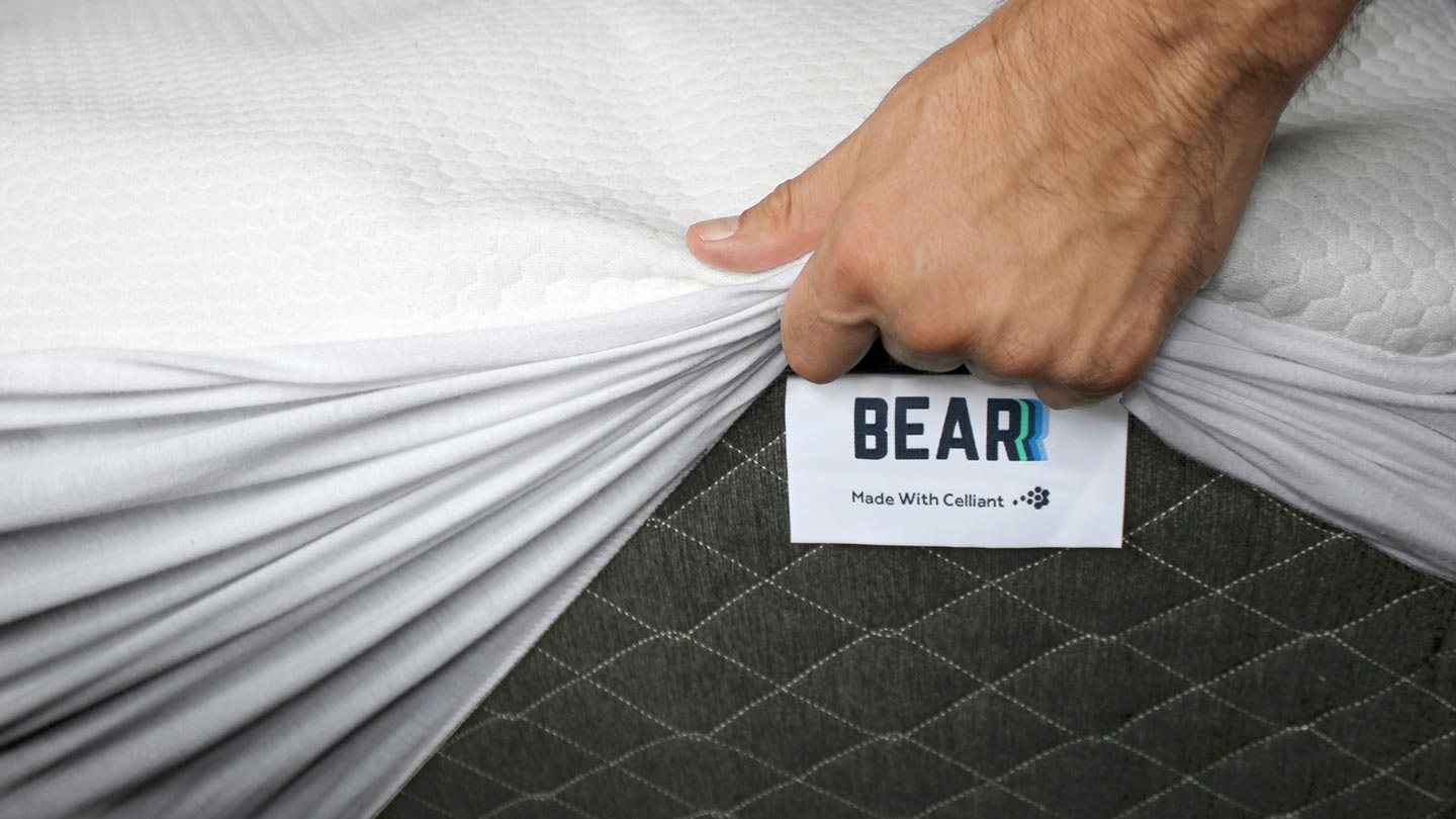 Bear Mattress Protector Review & Coupon Clean & Cool Sleep