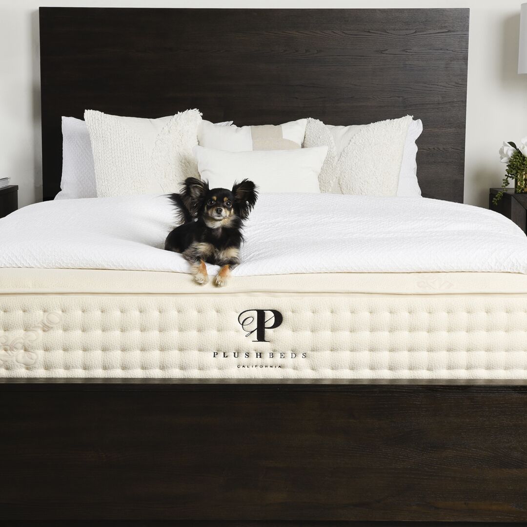 Plush Beds Latex Mattress Reviews Botanical Bliss by PlushBeds Latex Mattress Review