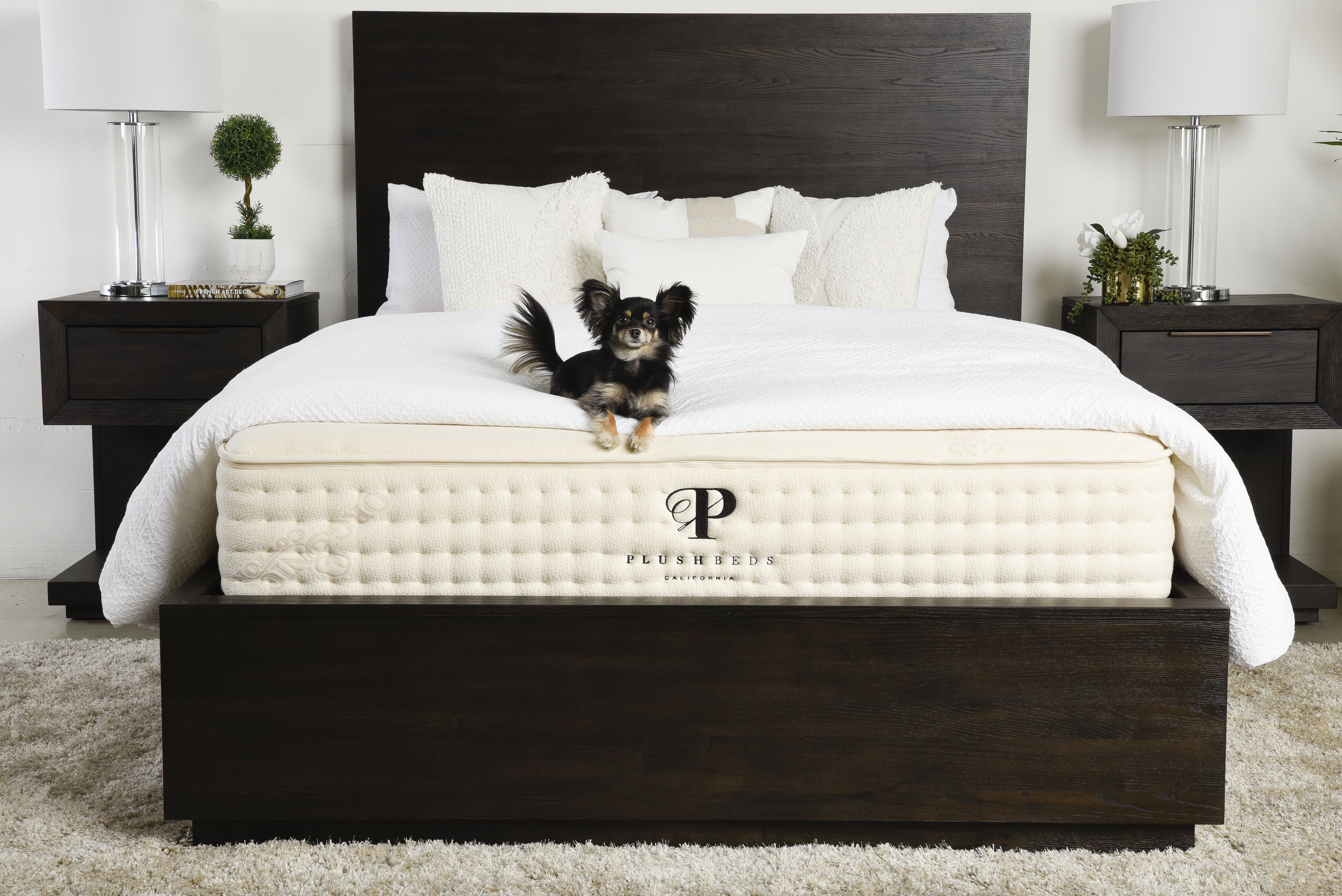 Big Fig Mattress Review A Bed For Bigger Figures & BIGGEST Coupon