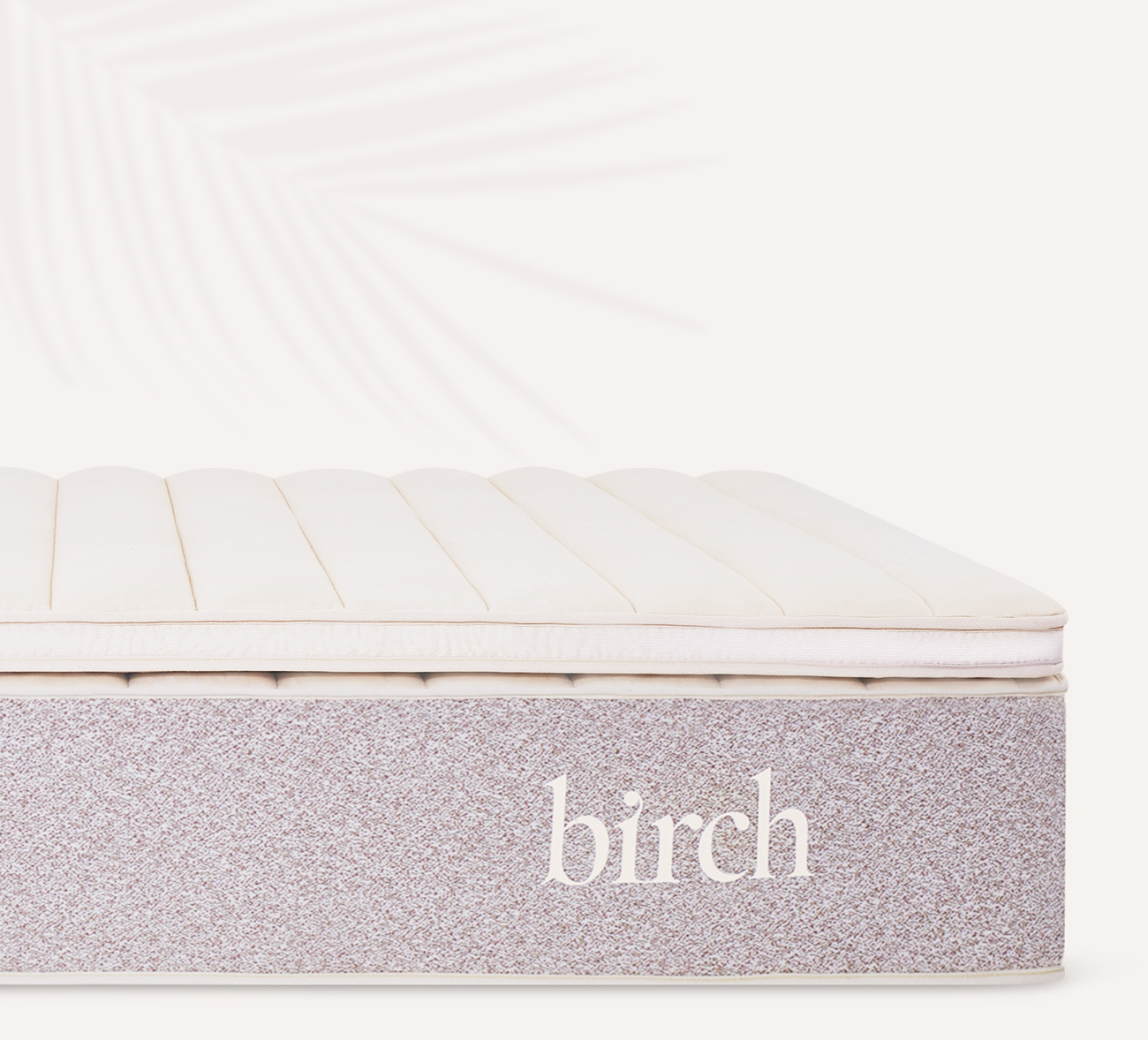 Birch Mattress Topper Review Talalay Latex & Wool Pillow Top