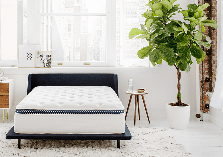 Saatva HD vs WinkBeds Plus Mattress Review & Comparison 2024