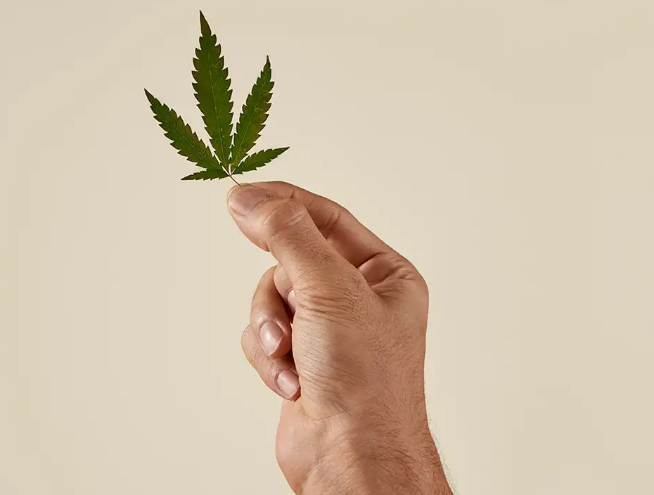 Buffy Hemp Sheets Review Natural & Green Sheet Set