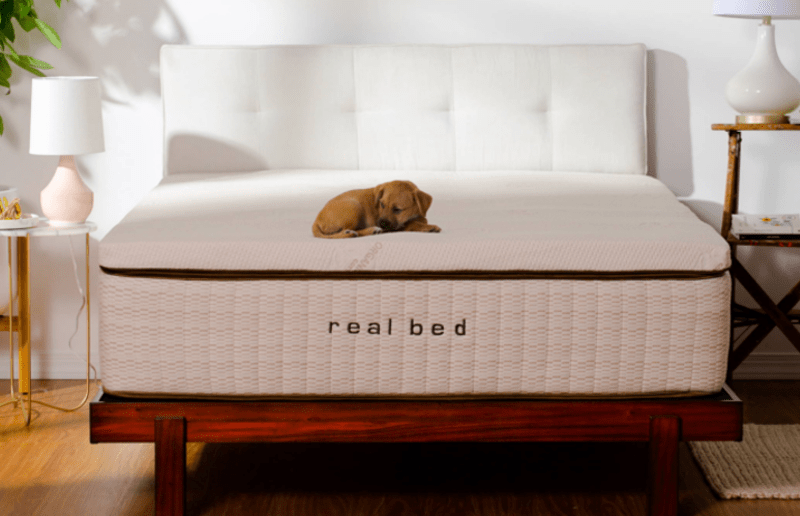 Real Bed Mattress Review Charles P. Rogers Bed In A Box