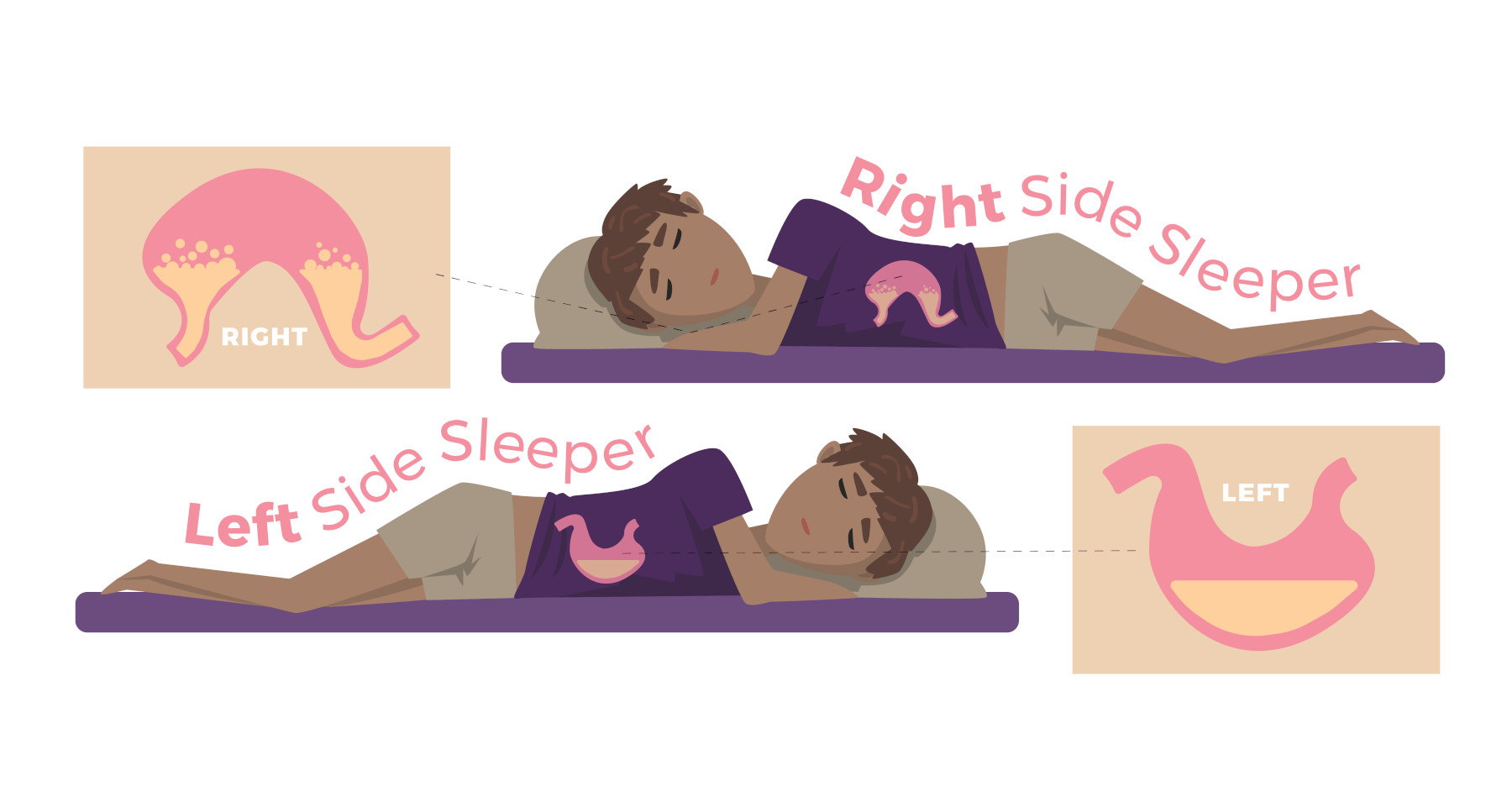 Sleep & Your Digestion Our Sleep Guide