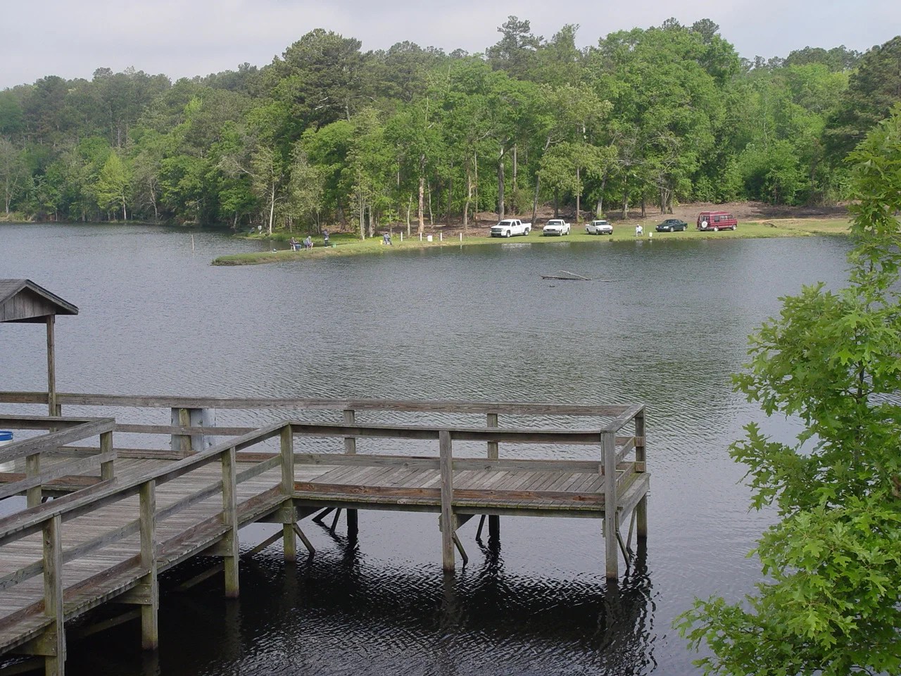 Washington County Public Fishing Lake Reopens March 5 Outdoor Alabama