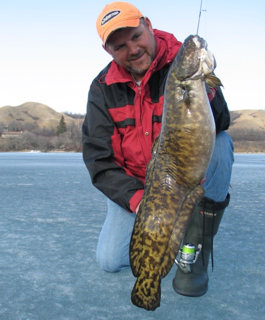 Icefishing for burbot The mustknow locations and lures • Outdoor Canada