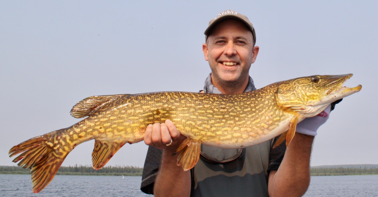 The top tackle and lures for catching spring pike in current areas
