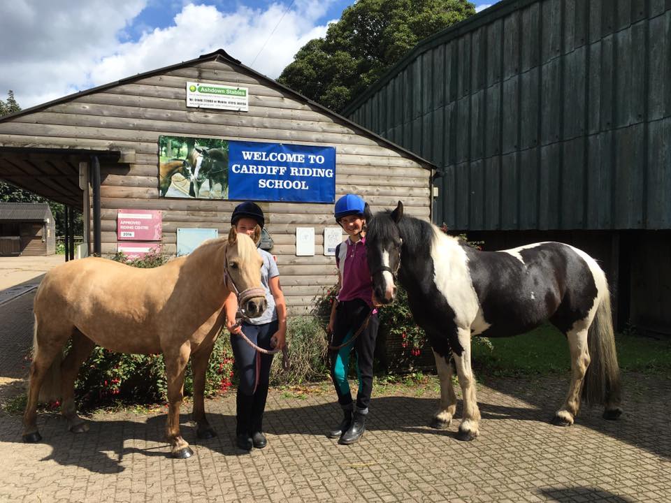 Horse Riding Gear Cardiff at Ramona Mallery blog