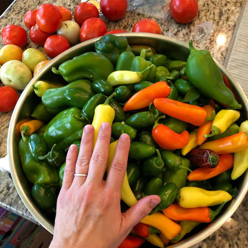 Growing Jalapeños in Containers Step by Step Guide Outdoor Happens