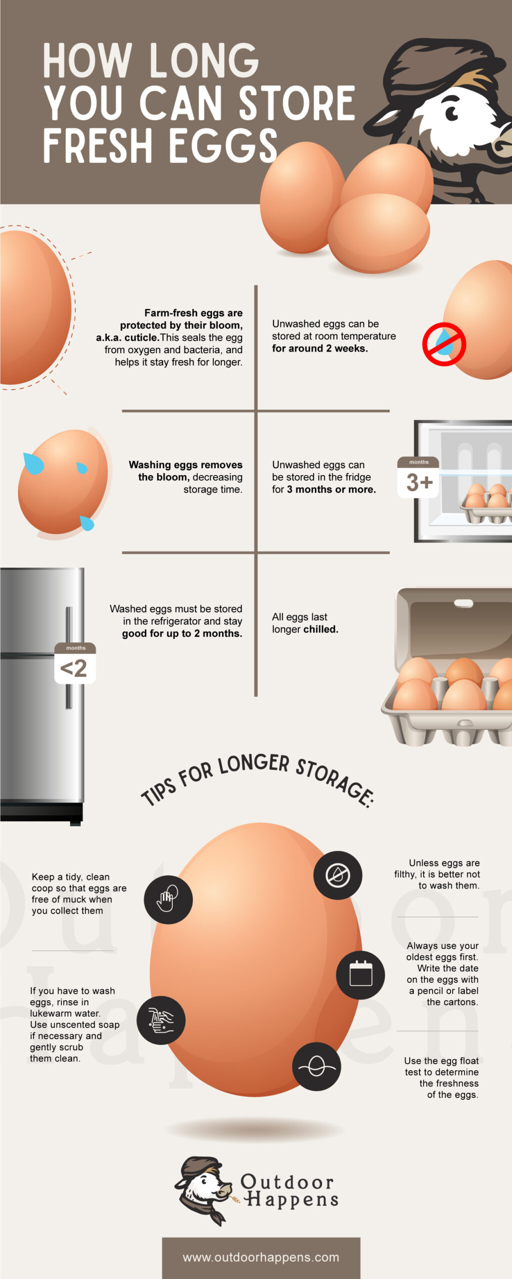 How Long Do Farm Fresh Eggs Last and How to Store Your Egg Bounty